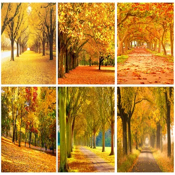 Винил потребителски фон за снимки на природни пейзажи Есента горски пейзаж Фотофоны за пътуване Студиен подпори 1911 CXZM-38