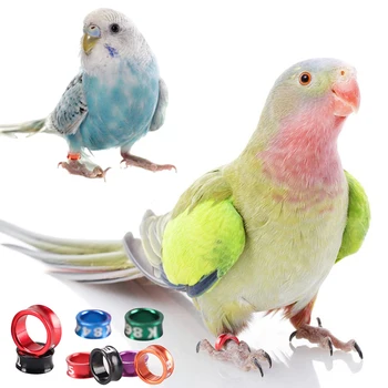 10 бр. различни цветове, алуминий пръстен за краката на птицата, идентификация етикет за състезания на открито, инструмент за обучение на поведение